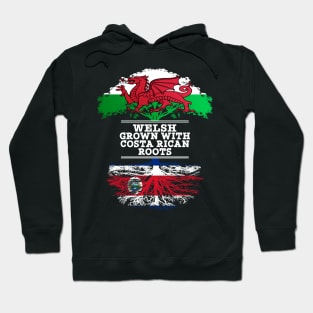 Welsh Grown With Costa Rican Roots - Gift for Costa Rican With Roots From Costa Rica Hoodie